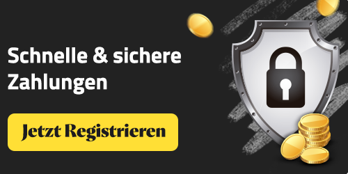 Schnelle und sichere Zahlungen mit Schutzschild und Münzen